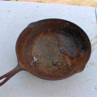  SKILLETS