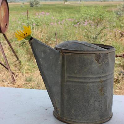   GALVANIZED ITEMS