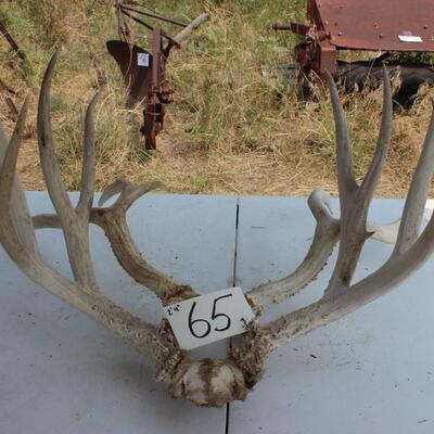   ANTLERS