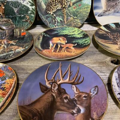 Collection of Outdoor Animal Plates, No boxes - QTY 15