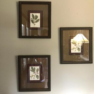 3 FRAMED LEAF PRINTS