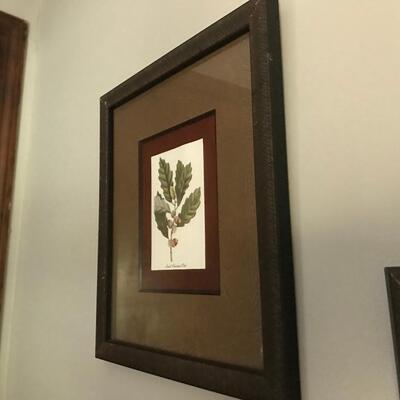 3 FRAMED LEAF PRINTS