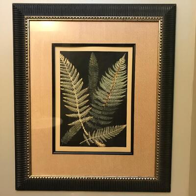 FERN FRAMED PRINT