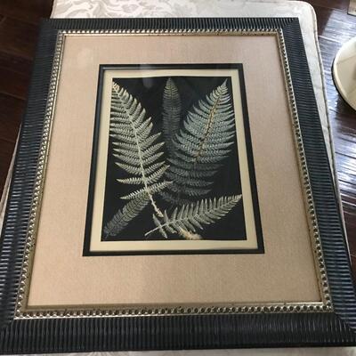 FERN FRAMED PRINT