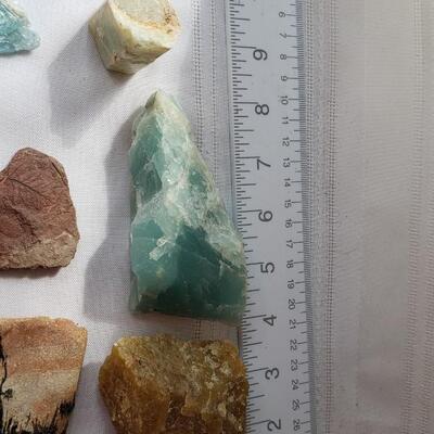 Another rock collection!  fossils, and petrified wood