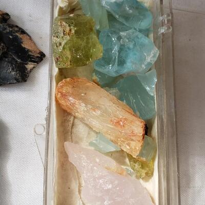 Another rock collection!  fossils, and petrified wood