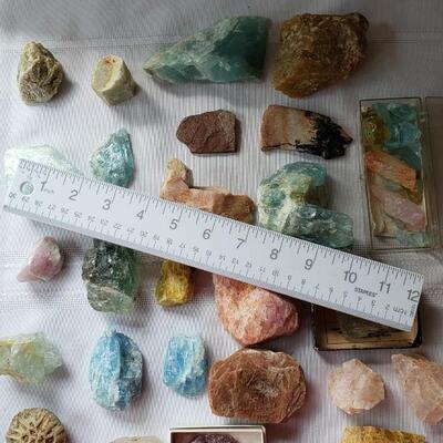 Another rock collection!  fossils, and petrified wood