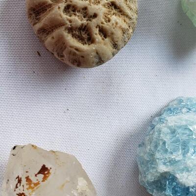 Another rock collection!  fossils, and petrified wood