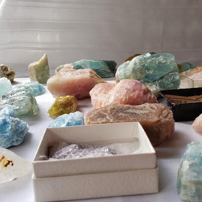 Another rock collection!  fossils, and petrified wood