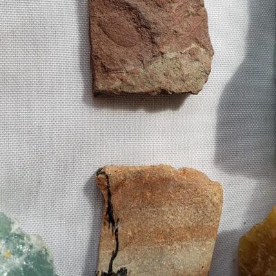 Another rock collection!  fossils, and petrified wood