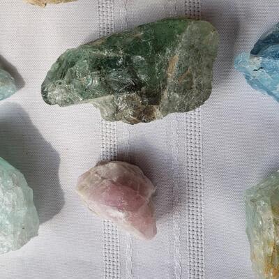 Another rock collection!  fossils, and petrified wood