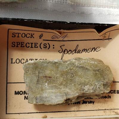 Another rock collection!  fossils, and petrified wood