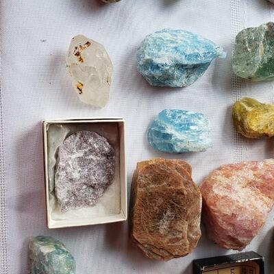 Another rock collection!  fossils, and petrified wood