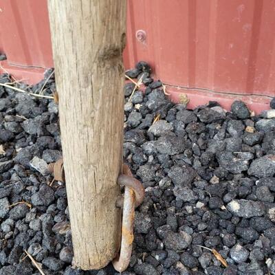 Lot 21: Vintage Farm Horse Tree 