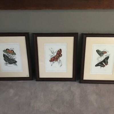 3 PC FRAMED BUTTERLFY PRINTS