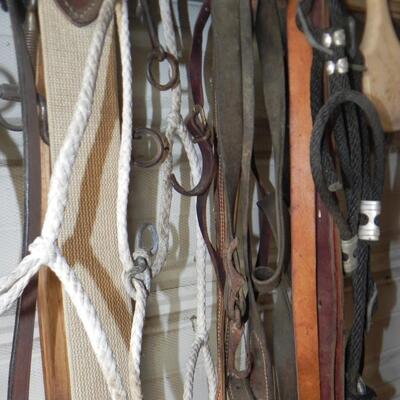 VARIETY OF TACK