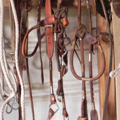  VARIETY OF TACK
