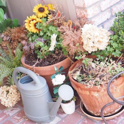 Lot 197 Plant decor lot by front door