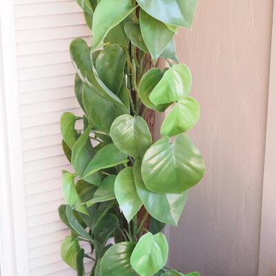 Lot 197 Plant decor lot by front door