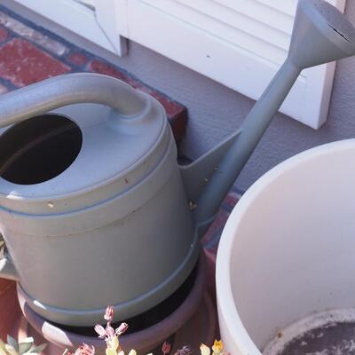 Lot 193- Empty pots, watering can, live succulent