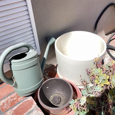 Lot 193- Empty pots, watering can, live succulent