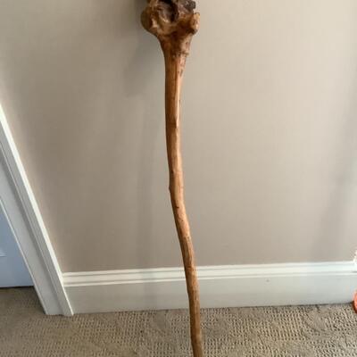 L. 744 Wooden Root Walking Stick / Cane 