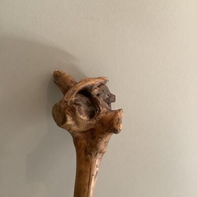 L. 744 Wooden Root Walking Stick / Cane 