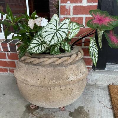 Large flower pots