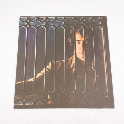 NEIL DIAMOND â€œTAP ROOT MANUSCRIPTâ€ VINYL RECORD LOT