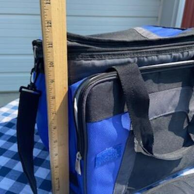 Lot 213: Collapsible Cooler