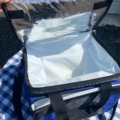 Lot 213: Collapsible Cooler