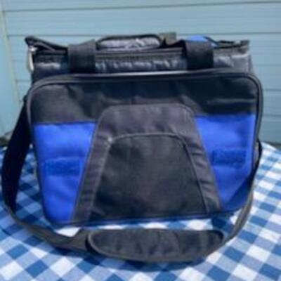 Lot 213: Collapsible Cooler