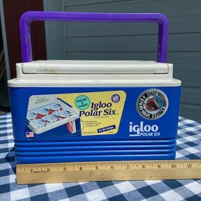 Lot 219: Small 6 Pack Cooler