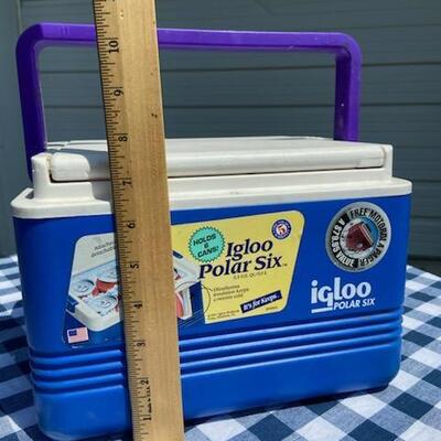 Lot 219: Small 6 Pack Cooler