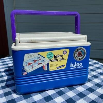 Lot 219: Small 6 Pack Cooler