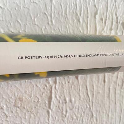 1997 JENNY MCCARTHY POSTER *SEALED*