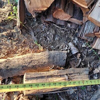 Lot 238: Massive Pile of Russian Olive Firewood (about a year old) ***Due to Irrigation Flooding, Pick Up for this Item will be scheduled...