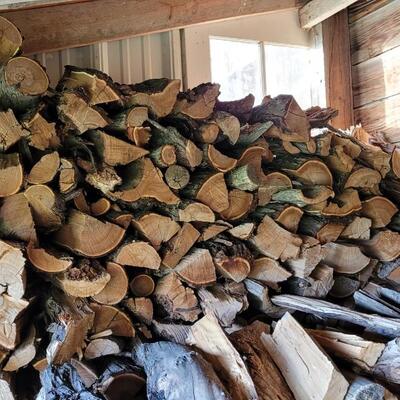 Lot 238: Massive Pile of Russian Olive Firewood (about a year old) ***Due to Irrigation Flooding, Pick Up for this Item will be scheduled...