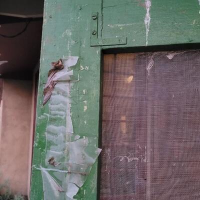 Lot 260: Vintage Green Farmhouse Door w/ Original Hardware CHIPPY PAINT