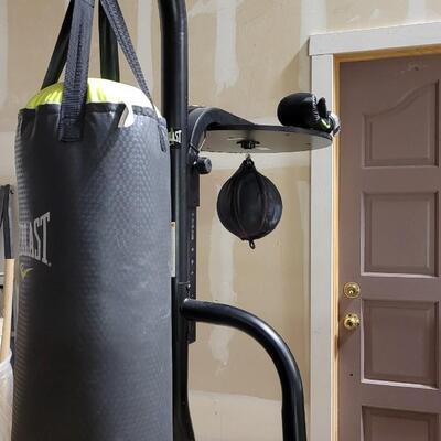 Lot 264: EVERLAST EverStrike Punching Bag Training System w/ Gloves 