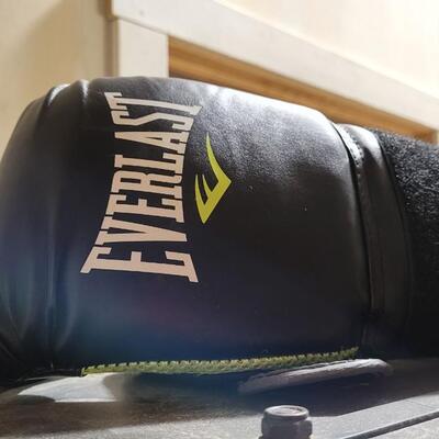 Lot 264: EVERLAST EverStrike Punching Bag Training System w/ Gloves 