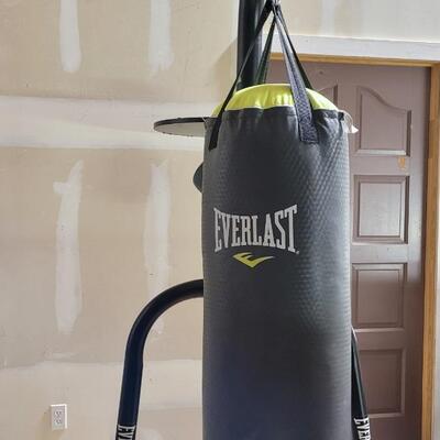 Lot 264: EVERLAST EverStrike Punching Bag Training System w/ Gloves 