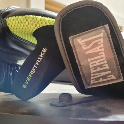 Lot 264: EVERLAST EverStrike Punching Bag Training System w/ Gloves 