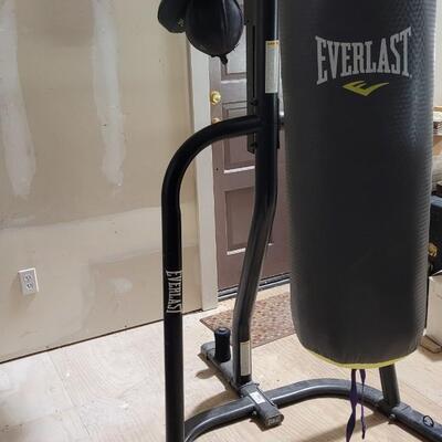 Lot 264: EVERLAST EverStrike Punching Bag Training System w/ Gloves 