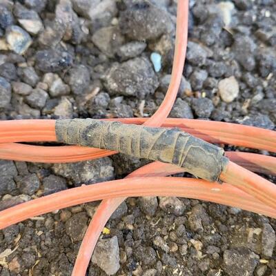 Lot 355: Orange Extension Cord