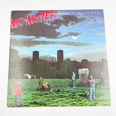 MR. MISTER â€œWELCOME TO THE REAL WORLDâ€ VINYL RECORD