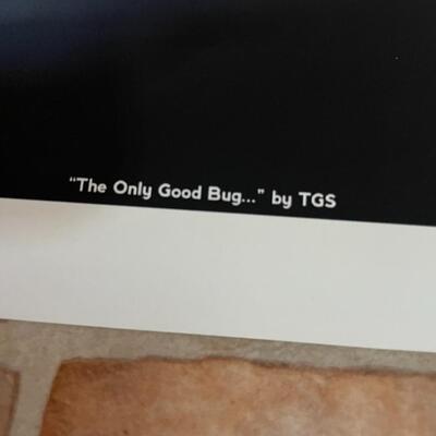 STARSHIP TROOPERS â€œTHE ONLY GOOD BUG IS A DEAD BUGâ€ SMALL POSTER