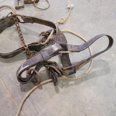 Lot 139: Vintage Horse Tack Bundle ã€ŠAã€‹