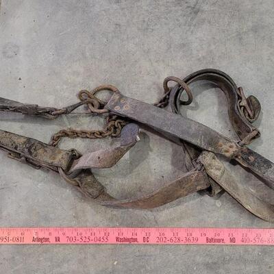 Lot 140: Vintage Horse Tack Bundle ã€ŠBã€‹