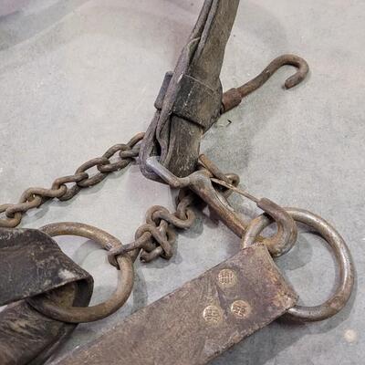 Lot 141: Vintage Horse Tack Bundle ã€ŠCã€‹